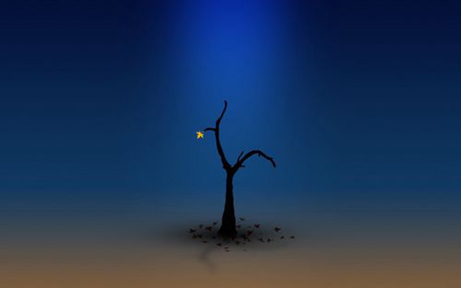 言橙网络